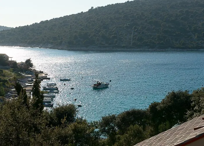 Mirna Vala Sevid